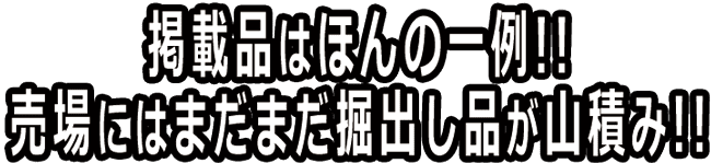 他にもまだまだご用意しています!